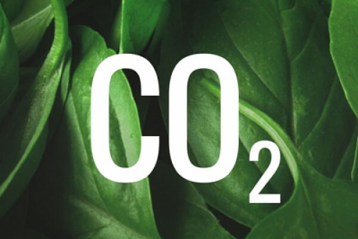 GreenTank : Στο 50% έφθασε η μείωση των εκπομπών CO2 της ΔΕΗ
