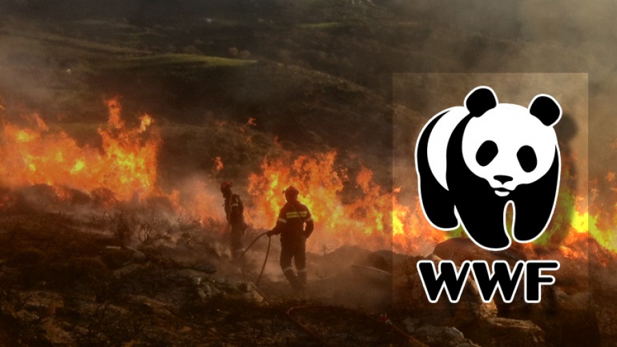 WWF για Δασικές Πυρκαγιές: Όλοι συμφωνούμε στις διαπιστώσεις, τί κάνουμε όμως γι’ αυτές;