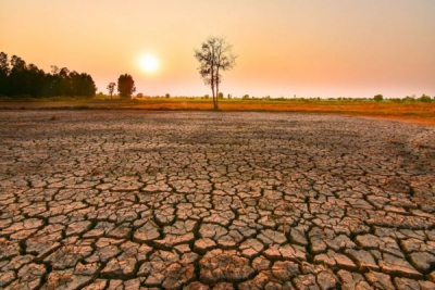 ΟΗΕ: Ο πλανήτης οδεύει «στο χείλος της καταστροφής» - Πιθανόν η πιο ζεστή χρονιά στην ιστορία το 2024