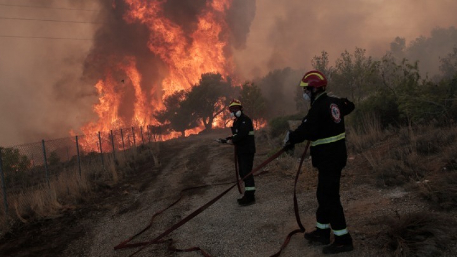 Mάχη με τις φλόγες στην περιοχή της Φυλής - Προσπάθειες να μην μπει η φωτιά στον Εθνικό Δρυμό της Πάρνηθας