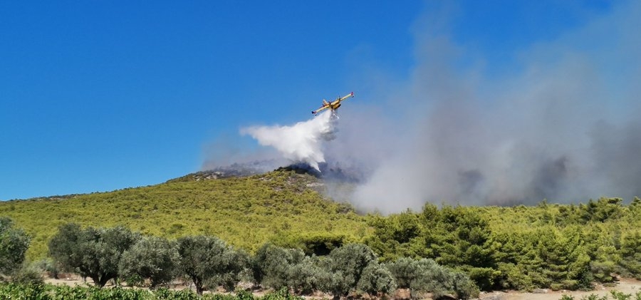 Εκτός ελέγχου η φωτιά στα Βίλια - Άνω των 10 χλμ. το πύρινο μέτωπο - Εκκενώνονται οικισμοί - Στη μάχη και το Beriev