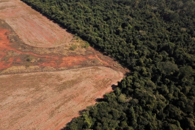 Η ΕΕ καθυστερεί την απαγόρευση της αποψίλωσης των δασών (Reuters)