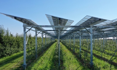 Τα συμβατικά ηλιακά πάρκα μπορούν να υποστηρίξουν τη βόσκηση ζώων