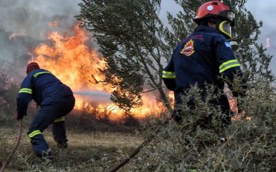 ΥΠΕΝ: ΚΥΑ για τη μεταφορά δασεργατών σε περιστατικά δασικής πυρκαγιάς ή άλλης καταστροφής