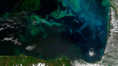 Οι παγκόσμιες παρατηρήσεις αποκαλύπτουν ταχεία αναδιοργάνωση των θρεπτικών συστατικών των ωκεανών (phys.org)