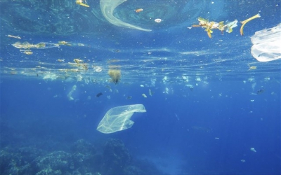Νέα έκθεση: Τριπλασιασμός των πλαστικών αποβλήτων στους ωκεανούς έως το 2040
