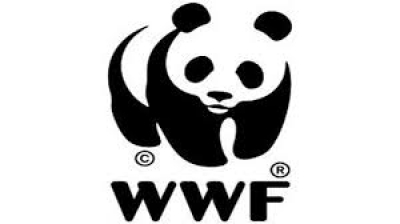 Ινδονησία: Το υπουργείο Περιβάλλοντος διακόπτει τη συνεργασία του με τη WWF