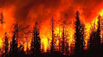 Εκπομπές 8,6 δισεκατομμυρίων τόνων Co2 από τις πυρκαγιές του 2023 – Τι δείχνει βρετανική έρευνα