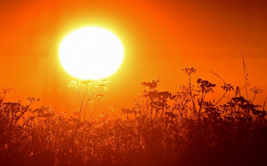 Το καλοκαίρι του 2023 ήταν το θερμότερο των τελευταίων 2.000 ετών– Οι φόβοι για το μέλλον του πλανήτη