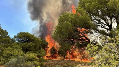 Σοκαριστικά στοιχεία: Το 37% των δασικών εκτάσεων της Αττικής κάηκε τα τελευταία οχτώ χρόνια