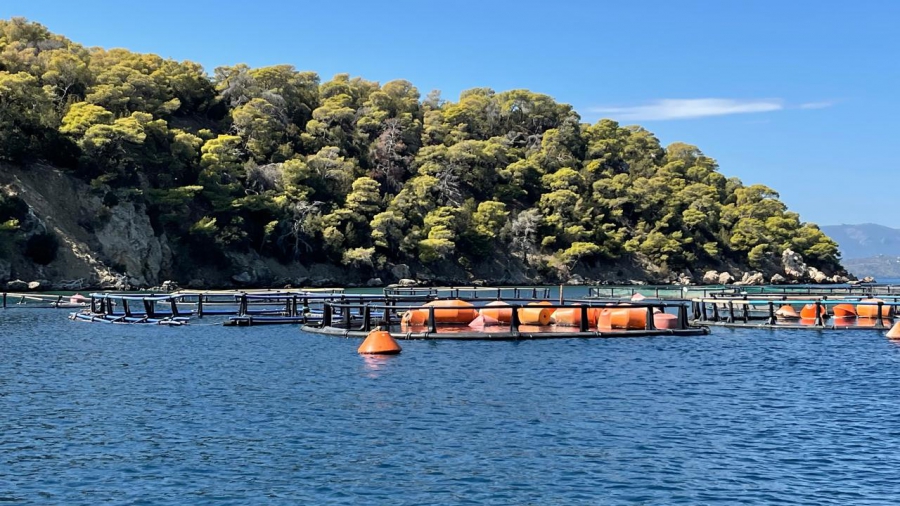 Η Ελλάδα στην Τελευταία Θέση στην Ευρώπη στις Περιβαλλοντικές Ρυθμίσεις για τις Υδατοκαλλιέργειες