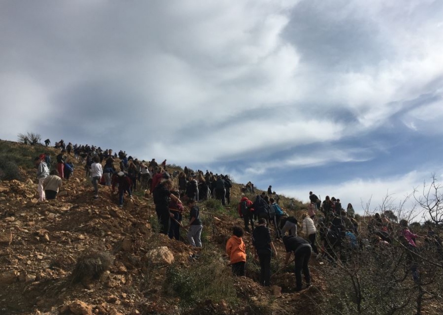 Δράση Δενδροφύτευσης στο πλαίσιο του Διεθνούς Θεματικού Δικτύου Π.Ε.«Μαθαίνω για τα Δάση