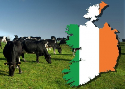 «Παγανιστές» οι Ιρλανδοί σκέφτονται να... θυσιάσουν 200.000 αγελάδες στο βωμό της κλιματικής αλλαγής