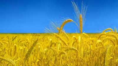 ΕΕ: Περιορίζει τις εισαγωγές δημητριακών από την Ουκρανία